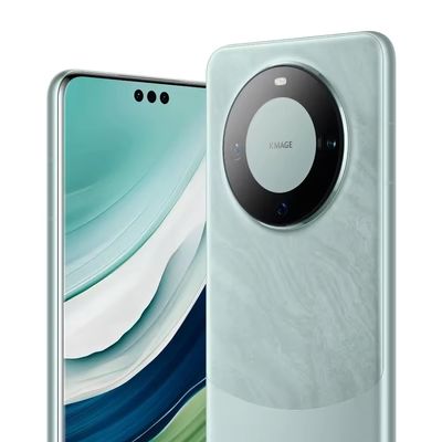 주문 HUAWEI 메이트 60 프로 12GB 512GB 빠른 충전 하모니OS 4.0 50MP 후면 3 카메라 5000mAh 88W 프라이버시 기능 트리플 OIS online manufacture
